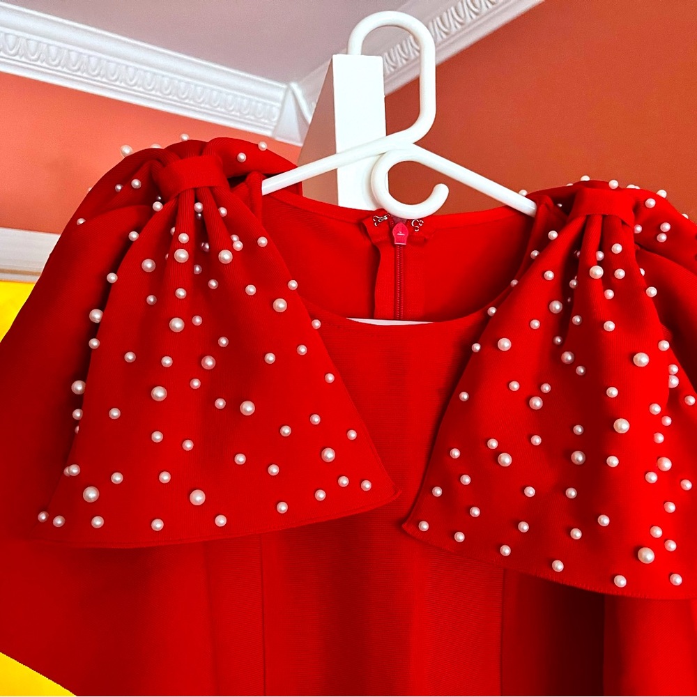 Formal dress, never worn. Wasn’t worth the cost of shipping to return